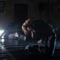 24. Festival plesa u Svetvinčentu: