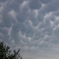 Mammatus oblaci nad Zadrom