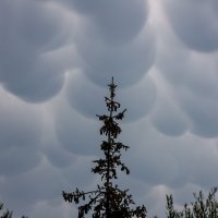 Mammatus oblaci nad Zadrom