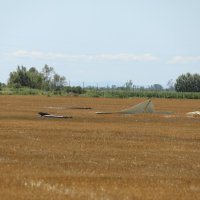 Nevrijeme u Slavoniji: Stanovnici Gradišta, Andrijaševaca i Cerne saniraju štetu