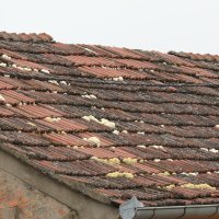 Sanacija štete u slavonskim selima nekon razornog nevremena - Retkovci