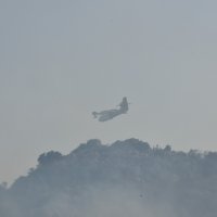 Požar u Župi dubrovačkoj