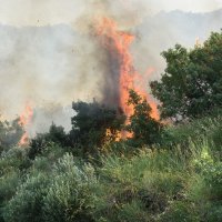 Požar u Župi dubrovačkoj