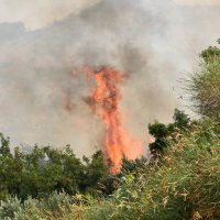 Požar u Župi dubrovačkoj