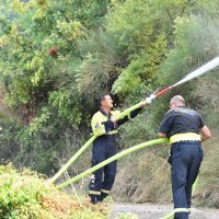 Požar u Župi dubrovačkoj