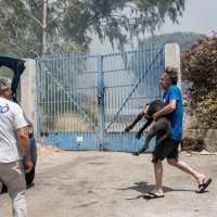 Požari u okolici Palerma, Sicilija