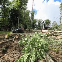 Posljedice oluje koja je opustošila Park prirode Medvednicu