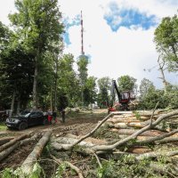 Posljedice oluje koja je opustošila Park prirode Medvednicu