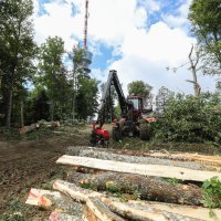 Posljedice oluje koja je opustošila Park prirode Medvednicu
