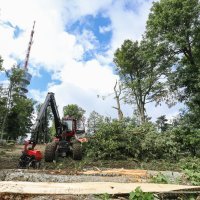 Posljedice oluje koja je opustošila Park prirode Medvednicu