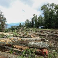 Posljedice oluje koja je opustošila Park prirode Medvednicu