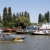 Ukrajinska luka Reni