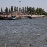 Ukrajinska luka Reni