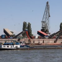 Ukrajinska luka Reni