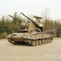 Nizozemska varijanta Geparda