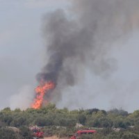 Novi požar na Čiovu