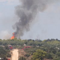 Novi požar na Čiovu