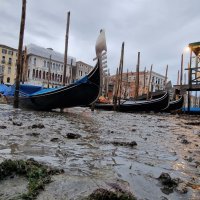 Presušeni kanali u Veneciji, veljača 2023.