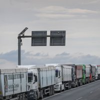 Ukrajinski kamioni čekaju na iskrcaj žita