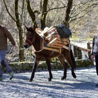 Irena Šaran na svom radnom mjestu, planinarskom domu NP Paklenica