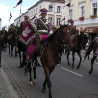 Poljska konjica na paradi