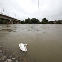 Vodostaj Drave kod Varaždina naglo se podigao zbog obilnih kiša u Sloveniji