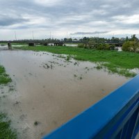 Visok vodostaj Save u Zagrebu, potpljen Green River Fest
