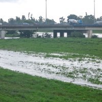 Visok vodostaj Save u Zagrebu, potpljen Green River Fest