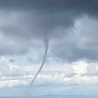 Pijavica u Tučepima