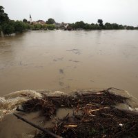 Rekordno visoki vodostaj Mure