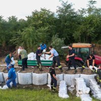 Hrušćica: Vatrogasci i građani pune vreće sa pijeskom i ojačavaju nasip