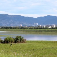 Povlači se voda iz oteretnog kanala Sava - Odra