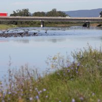 Vodostaj rijeke Save u općini Rugvica polagano je počeo opadati