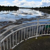 Slavonski Brod: Savom plutaju velike količine naplavina i smeća