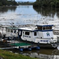 Slavonski Brod: Savom plutaju velike količine naplavina i smeća