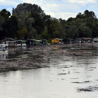 Slavonski Brod: Savom plutaju velike količine naplavina i smeća