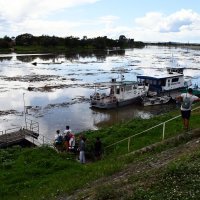 Slavonski Brod: Savom plutaju velike količine naplavina i smeća