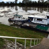 Slavonski Brod: Savom plutaju velike količine naplavina i smeća