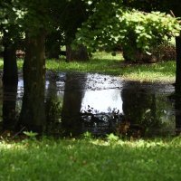 Voda je prodrla ispod Savskog nasipa na Jarunu