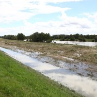 Voda je prodrla ispod Savskog nasipa na Jarunu