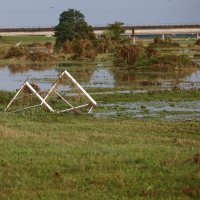 Ribiči pokušavaju spasiti što više ribe tijekom povlačenja vode u oteretnom kanalu Sava-Odra