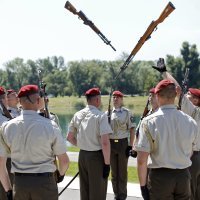 Počasno-zaštitna bojna