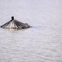 Katastrofalne posljedice poplave i bujice na jezeru Šoderica
