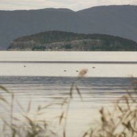 Prizori iz filma Tijelo
