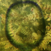 Prizori iz filma Tijelo