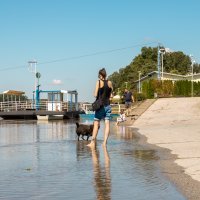 Nabujala Drava u Osijeku