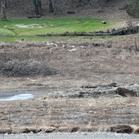 Neuspjelo odmuljavanje jezera Trakošćan