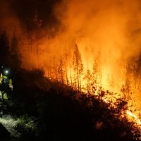 Požar na Tenerifima