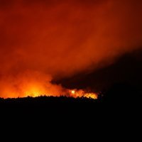 Požar na Tenerifima