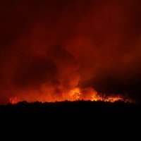 Požar na Tenerifima